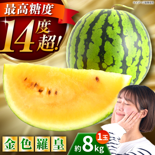 [先行予約]金色羅皇 スイカ 3L以上 1玉 約8kg すいか 野菜 フルーツ 果物 [日本フルーツ株式会社] 