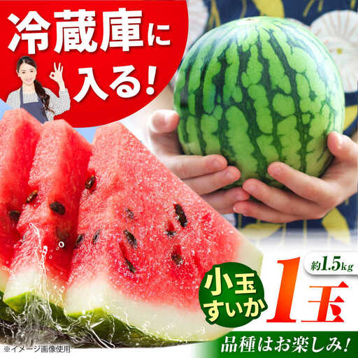 【先行予約】小玉スイカ 3L以上　1玉入り 約1.5kg 【日本フルーツ株式会社】[ZFJ011]