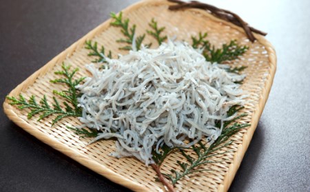 中野海産のちりめん 500g ちりめん