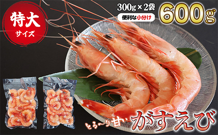 特大ガスエビ(ヒゲナガエビ) 600gセット 特大サイズ 小分け 天然 鮮度抜群 漁船直送 海老 えび エビ 殻付き 簡単 調理 魚介類 魚貝類 海産物 おかず 産地直送 三重県産 尾鷲市 国産 人気