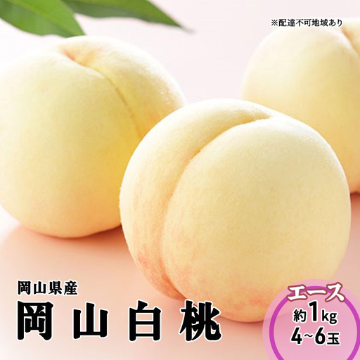白桃 岡山 エース 1kg 4玉〜6玉 白桃