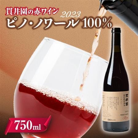 2023 赤ワイン　ピノ・ノワール100%　1本　貫井園のワイン【配送不可地域：離島】【1563823】