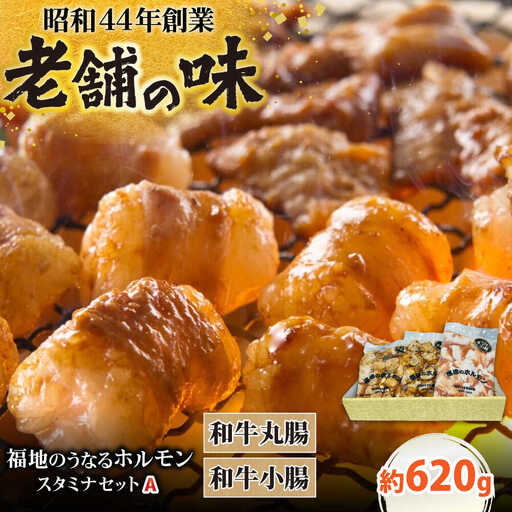 スタミナセットA　（和牛丸腸・小腸）計620g 日田市 ホルモン[ARAY003]