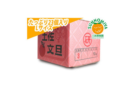 【先行予約】三宮果樹園の土佐文旦 ご家庭用Lサイズ 10kg〈2027年2月14日から2027年3月15日発送〉高知県 土佐市【三宮果樹園】[BQAP007]