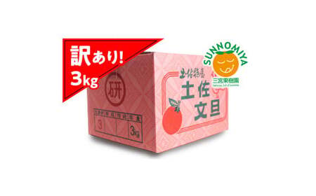 【先行予約】三宮果樹園の土佐文旦 訳あり 3kg〈2027年2月14日から2027年3月15日発送〉高知県 土佐市【三宮果樹園】[BQAP006]