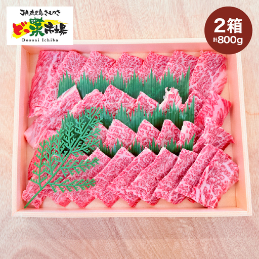 2881 A5ランク鹿児島産黒毛和牛バラカルビ焼肉木箱 800g 400g×2箱 KN010-005-02 肉 牛肉 冷凍