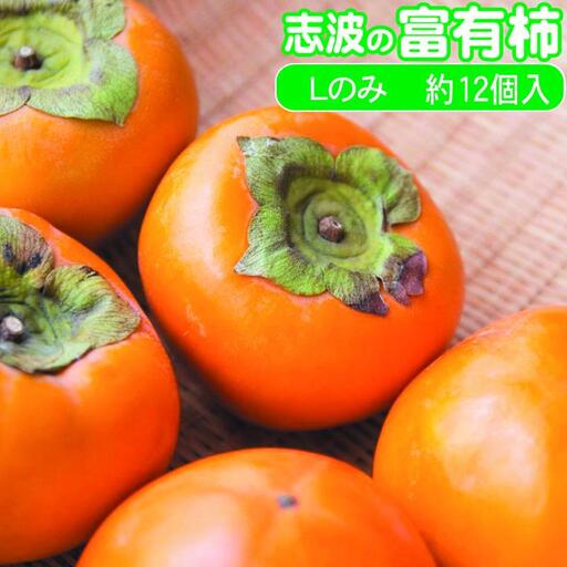 柿 志波の富有柿 Lサイズのみ×約12個入 ゆう美果樹園 柿