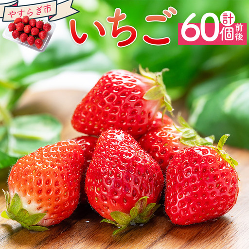 【先行予約】おまかせ 苺 4パック  60個以上 苺 いちご yr-0054