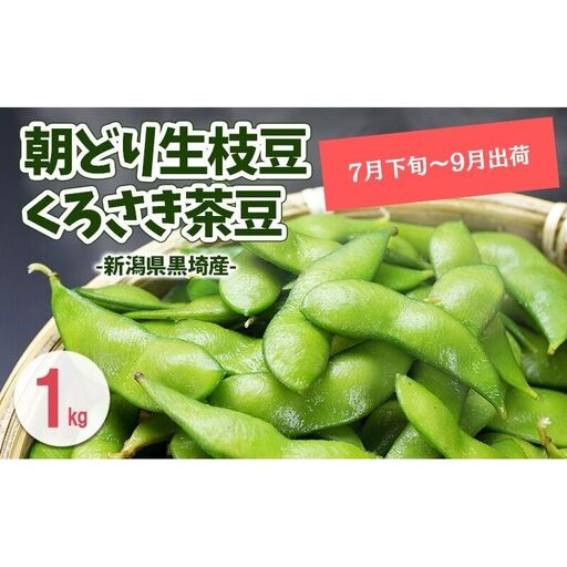 【7月下旬～発送開始】枝豆 1kg 朝採り新潟県黒埼産 枝豆