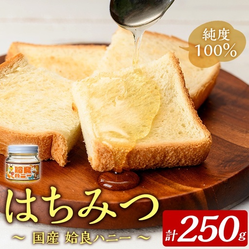 a1002-A 《期間限定！》姶良ハニー(250g)【原電設工業】姶良市 国産 ハチミツ はちみつ 蜂蜜 百花蜜 蜜 常温 常温保存