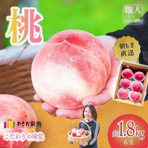 ☆クール便発送☆ 朝もぎ直送!山梨の桃 6玉 約1.8kg [2027年7月上旬から発送]おさだ農園 |山梨県 市川三郷町 市川三郷 [5839-2120]