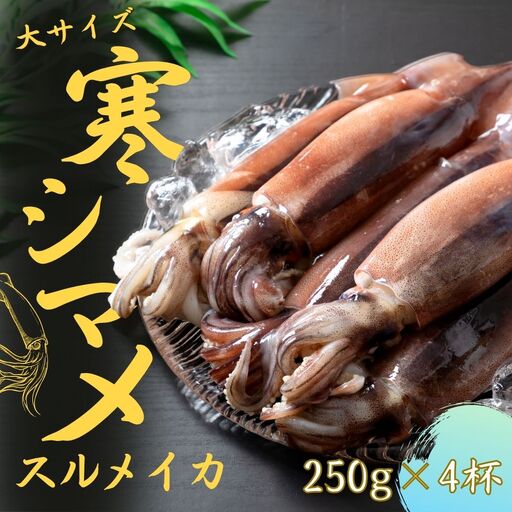 スルメイカ 250g×4杯 イカ