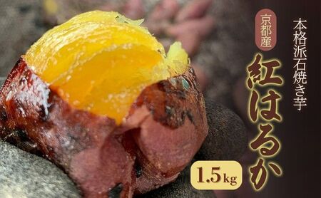 焼き芋 紅はるか 1.5kg 石焼き 冷凍 焼き芋