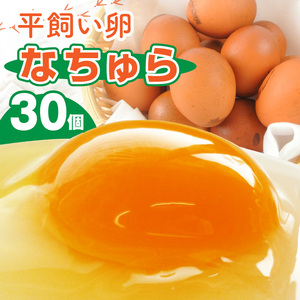 平飼い卵 なちゅら 30個 