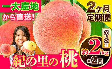 桃 定期便 紀の里の桃 約2kg(6-8玉入り)2回お届け(先行予約)[6月中旬-8月中旬頃出荷] 桃桃桃