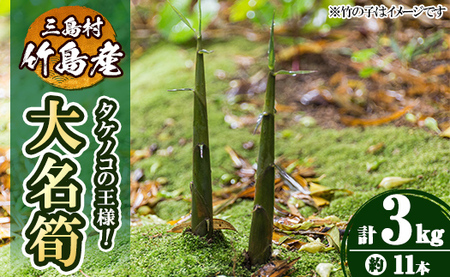 msm-015 《先行予約受付中！2027年5月中旬以降順次発送予定》大名筍(3kg・約11本)【NPO法人みしまですよ】三島村 筍 たけのこ タケノコ 皮付き  野菜 新鮮 煮物 味噌汁 炊き込みご飯 