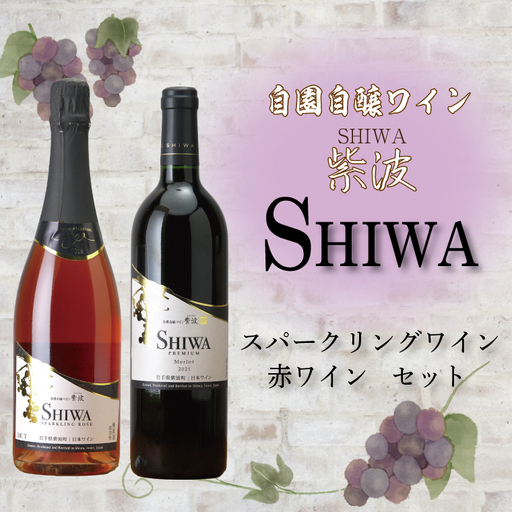 スパークリングワイン 赤ワイン 2本セット 紫波町産 AL063-1