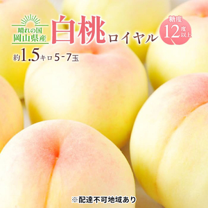 桃 2026年 先行予約 岡山 白桃 ロイヤル 約1.5kg 5〜7玉入 岡山県産 桃