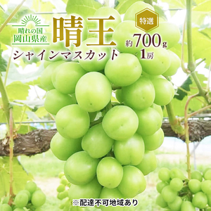 ぶどう 2026年 先行予約 シャイン マスカット 晴王 特選 1房 約700g 岡山県産 シャインマスカット