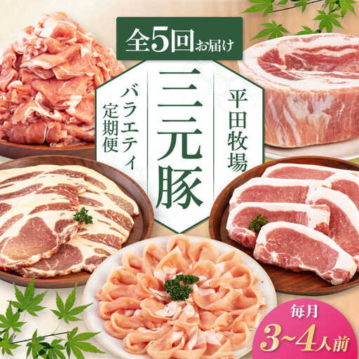 【全5回定期便】 平田牧場 バラエティ定期便 3~4人前 豚肉 ロース バラ肉 ステーキ [AJAP127]