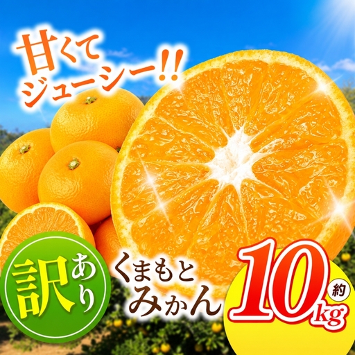 訳あり 熊本県産 温州みかん 約 10kg