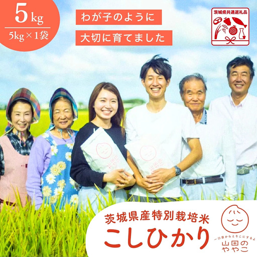 白米 5kg 令和8年産 特別栽培米 山田のややこ | 白米 お米 コシヒカリ