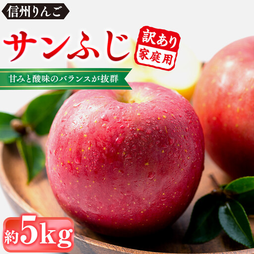 前島農家 信州りんご・サンふじ(家庭用)約5kg(12個〜18個) | りんご