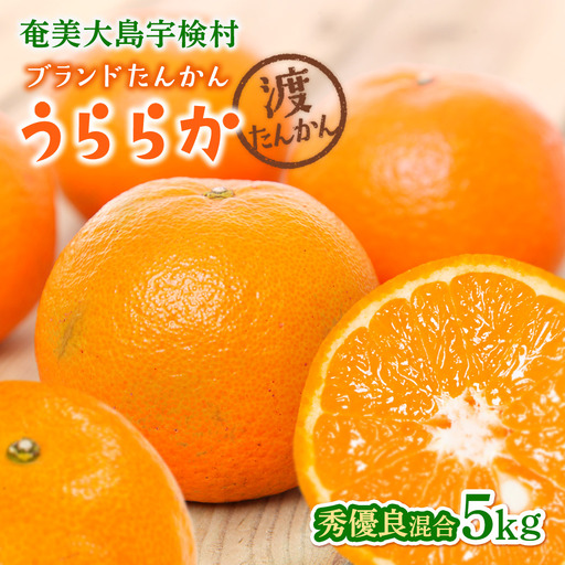 [予約・数量限定]2027年2月〜出荷予定[ブランドたんかん]うららか 光センサー 秀優良品 M~2Lサイズ混合 奄美大島産たんかん5kg 渡タンカン農園 もぎたて 旬をお届け