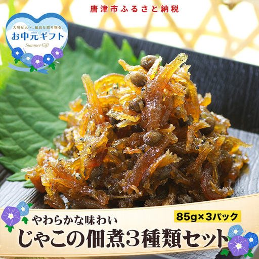 「お中元」唐津自慢 じゃこの佃煮 3種類セット(山椒の実入・山椒の実入(青唐辛子)・落花生入)×各85g ご飯のお供 おかず おつまみ 詰合せ 佃煮