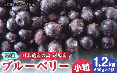 対馬産 ブルーベリー 600g×2袋 計1.2kg（ 冷凍 ）  小粒 ブルーベリー ブルーベリー ブルーベリー [WBG011]