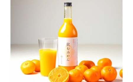【早和果樹園】飲むみかん12本入（720ml）（B346-2）