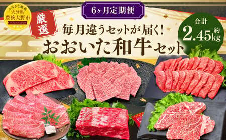 [6ヶ月定期便] 毎月違うセットが届く!おおいた和牛 セット 合計約2.45kg 1回あたり約400g〜450g 牛肉 食べ比べ ソース付き サーロイン 赤身 ミスジ ブロック ロース ステーキ ヒレ 焼肉 スライス BBQ バーベキュー お取り寄せ グルメ 大分県産