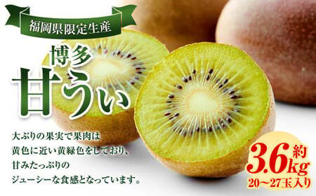 福岡県産 博多甘うぃ 約3.6kg (20玉〜27玉入り) [2026年10月下旬〜11月下旬発送]※北海道・沖縄・離島配送不可