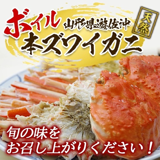 ボイル 本ズワイガニ 1匹 350g程度 遊佐沖 10月中旬～12月下旬頃お届け 冷蔵便 ※着日指定・離島（沖縄県を含む）発送不可 1人前 東北 山形県 遊佐町 庄内地方 日本海 カニ 蟹 かに 海産物 シーフード 海鮮 新鮮 まるごと ボイル 焼き 期間限定 ゆで 茹で [850]