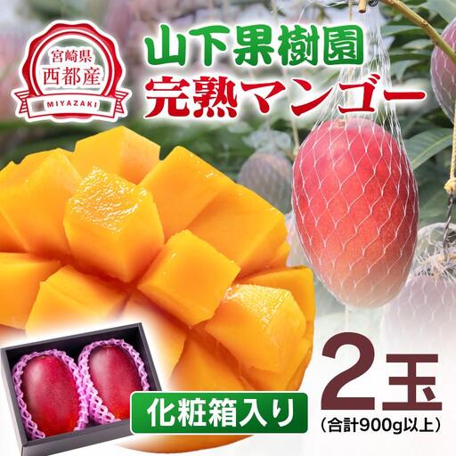 【マンゴー専門 山下果樹園】完熟マンゴー 2玉 合計900g以上 宮崎県西都産 生産者直送【先行予約】＜61-2a＞