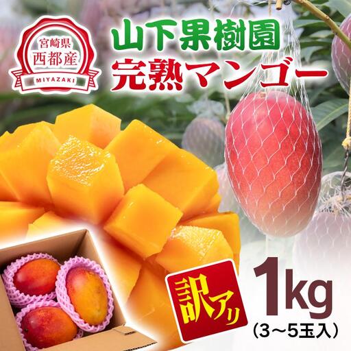 [先行予約]2027年発送[マンゴー専門 山下果樹園]ご家庭用完熟マンゴー 1kg 宮崎県西都産 生産者直送[61-1a]
