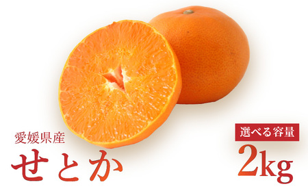 【せとか】【2027年3月中旬より発送】みかん せとか 2kg 愛媛県松山市【NO053】
