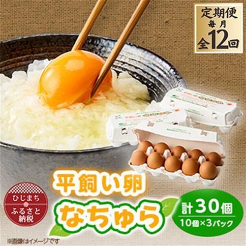 【発送月固定定期便】平飼い卵なちゅら(30ヶ入り)全12回_卵・乳製品 卵  たまご タマゴ 玉子  定期便 定期便  _【配送不可地域：離島】【4064958】