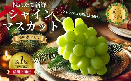 [2026年先行予約]クリスマスにお届け! シャインマスカット 信州上田産金剛寺ぶどう 約1kg 2〜3房 ぶどう 葡萄 ブドウ マスカット 1kg 果物 くだもの フルーツ デザート 旬の果物 旬のフルーツ 長野県 長野