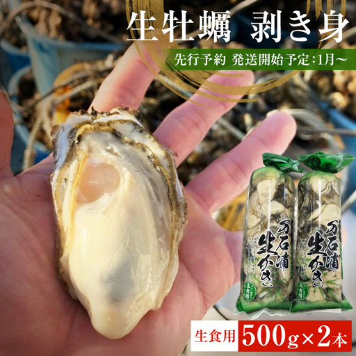 ＜先行予約：2027年1月配送開始＞ 生牡蠣 牡蠣 生食用 かき剥き身 500g 2本入 水無し 生産者直送 かき 生食 魚介 魚介類