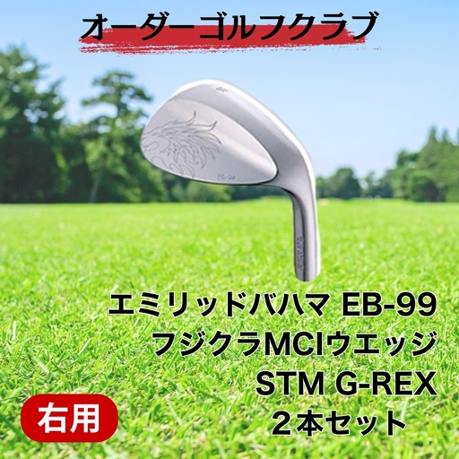 ゴルフ ゴルフクラブ エミリッドバハマEB-99ウエッジ2本セット オーダーメイド アイズファクトリー|F34