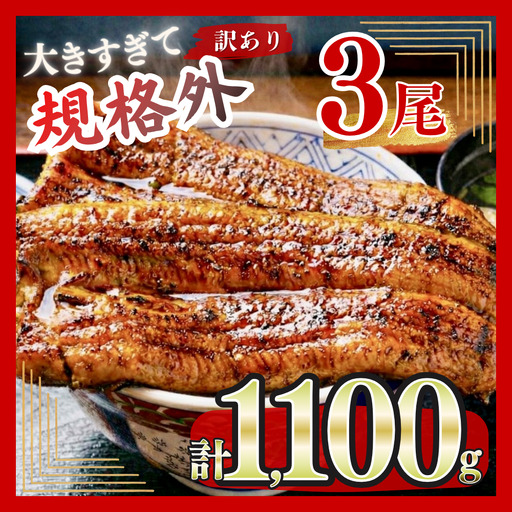 【うなぎ】 特大 訳あり 3尾 1.1kg うなぎ 