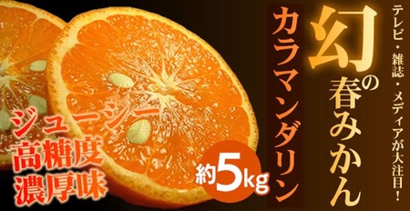 カラマンダリン[約5kg] 和歌山県有田産 春みかん 【果実サイズおまかせ】｜和歌山県産 柑橘 フルーツ 紀伊国屋文左衛門本舗