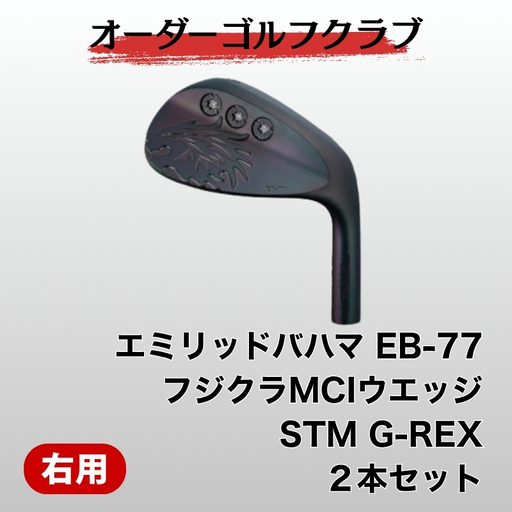 ゴルフ ゴルフクラブ エミリッドバハマEB-77ウエッジ２本セット オーダーメイド アイズファクトリー｜F35