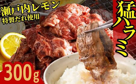 [瀬戸内レモン塩だれ]牛ハラミ 300g×1パック 尾野精肉店の牛ハラミ[肉 訳あり 小分け 真空パック 冷凍 牛肉 ハラミ 味付き 焼肉 BBQ 広島県 竹原市]