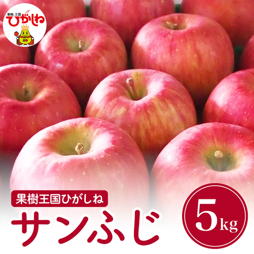 [2026年産]りんご 「 サンふじ 」 5kg りんご