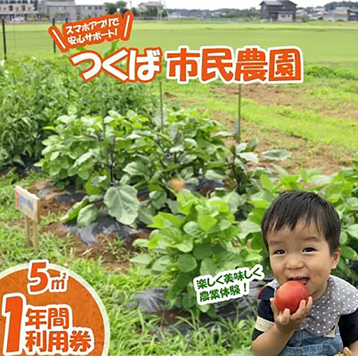 市民農園 ハルファーム 利用券 (5㎡ 1年分)【農園】