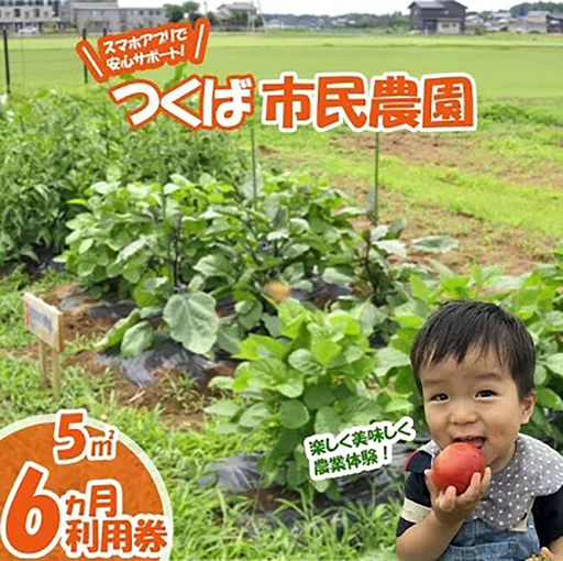市民農園 ハルファーム 利用券 (5㎡ 6ヵ月分)【農園】