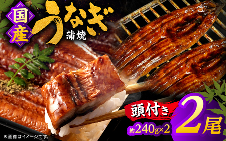うなぎ 国産うなぎの蒲焼×2尾（頭付き）島根県松江市/うなぎの源内[ALHE002] うなぎ うなぎ