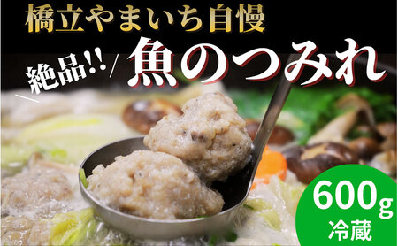橋立やまいち自慢の魚のつみれ 2パックセット（冷蔵）600g つみれ 魚 鍋 京都府 宮津市 myz02 myz11 myz17